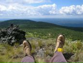 Фотография Карих Елены