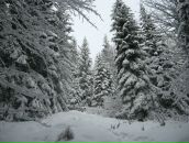 Игорь Хурсенко фотография #46 (источник - https://vk.com/id49266917)