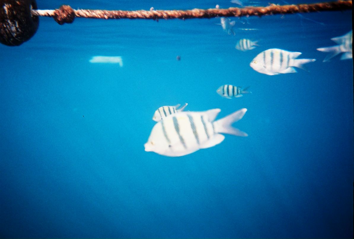 Александр Кадыкеев фотография #38