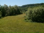 Максим Арістов фотография #38 (источник - https://vk.com/id59895866)