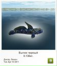 Чарлі Метелик фотография #38 (источник - https://vk.com/id61674657)