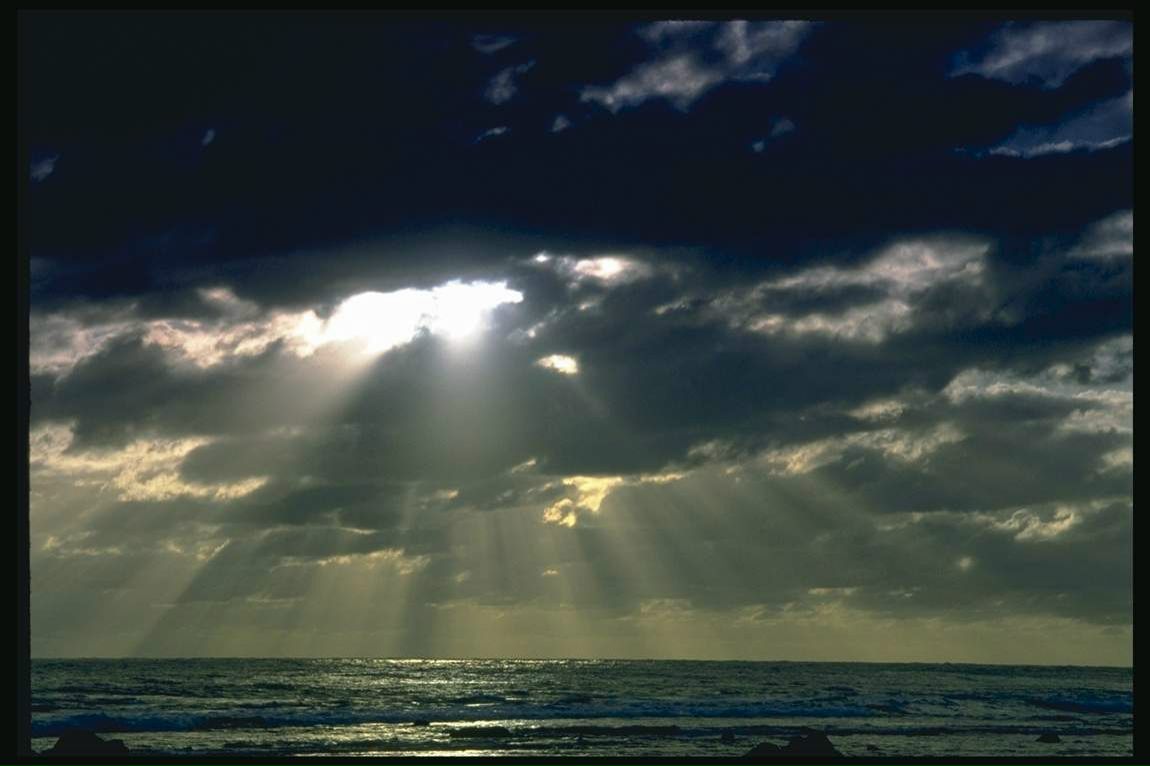 Виктор Шульдешов фотография #48