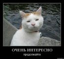 Фотография Потаповой Алены