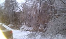 Дмитрий Плотников фотография #22 (источник - https://vk.com/id378898)