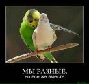 Лесічка Бомко фотография #7 (источник - https://vk.com/id163323351)