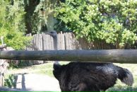 Таня Ліщук фотография #40 (источник - https://vk.com/id22416115)