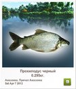 Людмила Бабікова фотография #21 (источник - https://vk.com/id155289329)