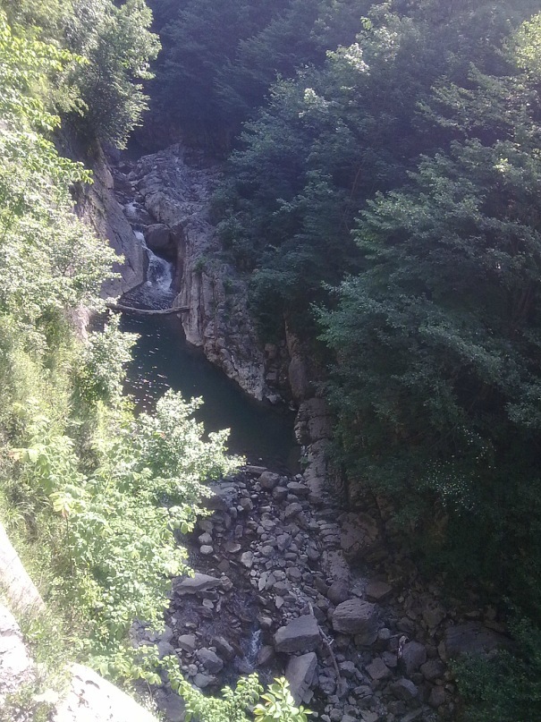 Дмитрий Туркевич фотография #21