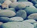 Вікторія Дикан фотография #5 (источник - https://vk.com/id155077162)
