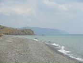 Світлана Лозова фотография #17 (источник - https://vk.com/id8220341)