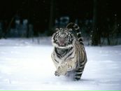 Діма Мінчук фотография #38 (источник - https://vk.com/id10611784)