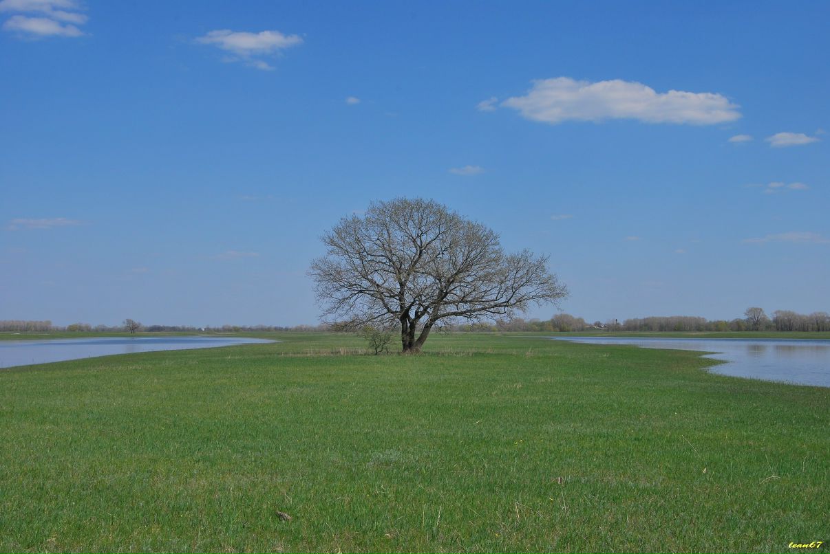 Наталья Мальцева фотография #47