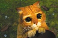 Фотография Новожилова Славы-Матуса