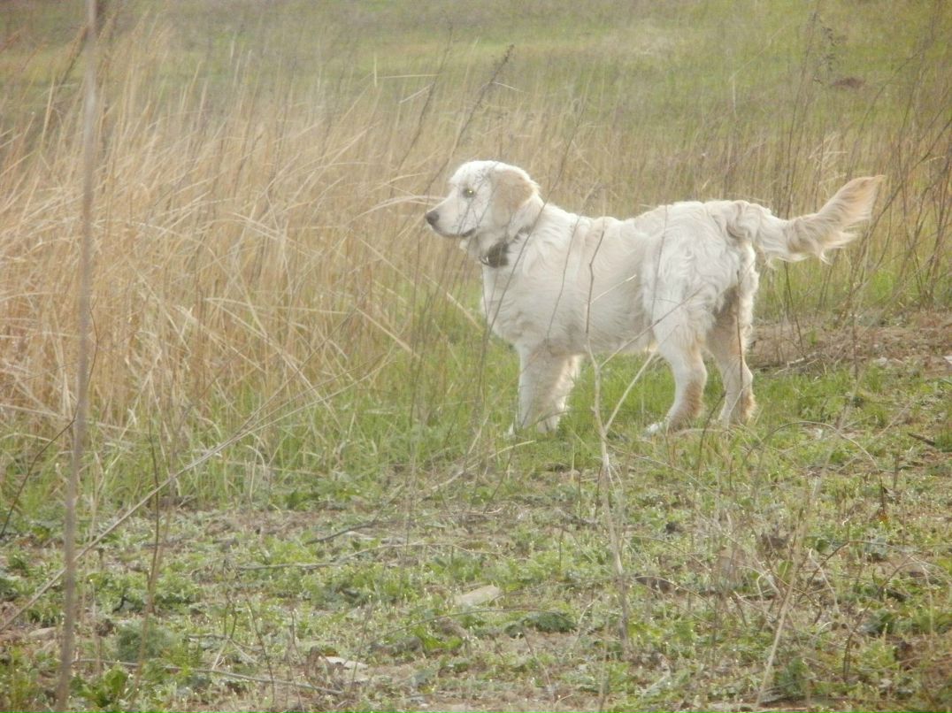 Иван Мозоля фотография #42