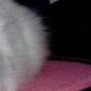 Альона Скороход-Стрільчук фотография #9 (источник - https://vk.com/id117692920)