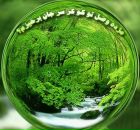 Фотография Воронина Дениса