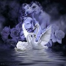 Юлія Деркач фотография #49 (источник - https://vk.com/id158298295)