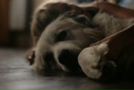 Slash Dot фотография #42 (источник - https://vk.com/id614985)