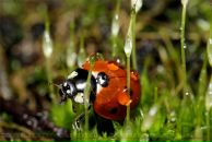 Фотография Волковой Наталии