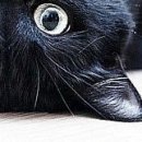 Dетk☼ ツ фотография #2 (источник - https://vk.com/id152994176)