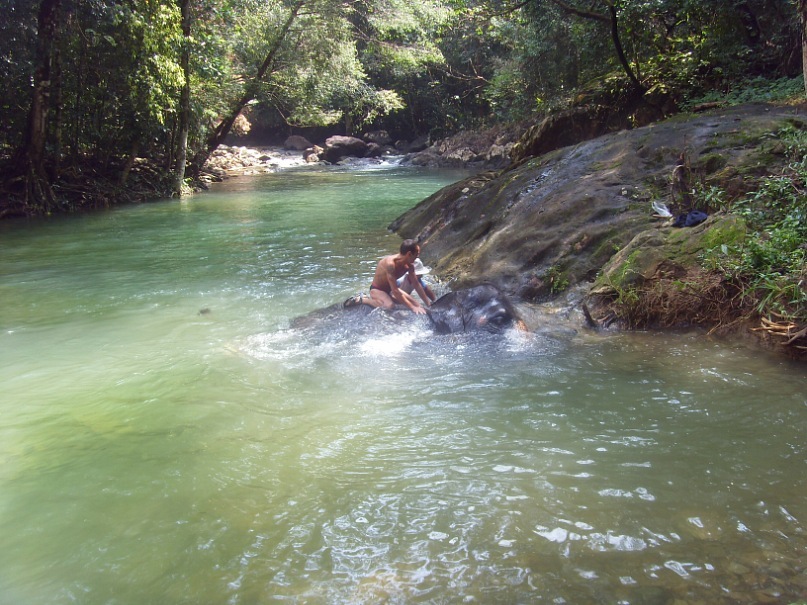 Евгений Прошин фотография #8