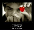 Фотография Михалькова Данила