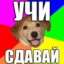 Фотография Трибунского Кира