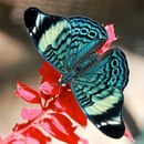 Богдан Гриців фотография #18 (источник - https://vk.com/id147594485)