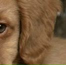 Лєна Ляшкевич фотография #41 (источник - https://vk.com/id57337092)