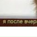 Лєна Ляшкевич фотография #31 (источник - https://vk.com/id57337092)