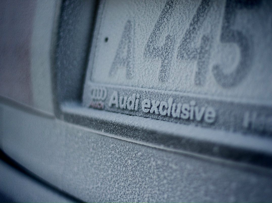 Дмитрий Трунтаев фотография #24