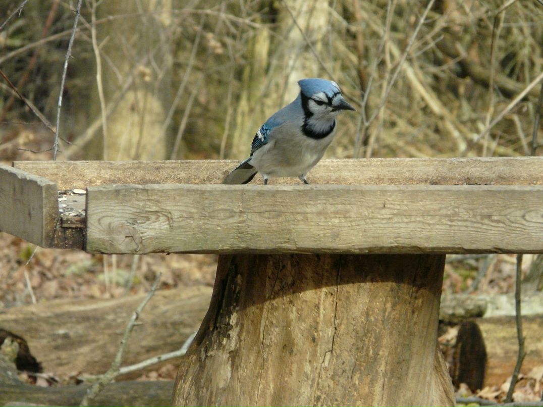 Валерия Ли фотография #41