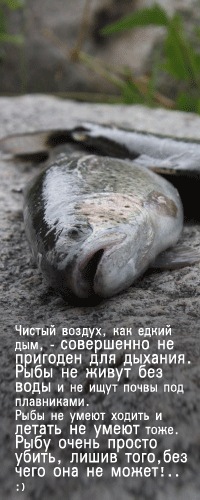 №12, Полина Кузьмина, Алматы №12, Полина Кузьмина, Алматы