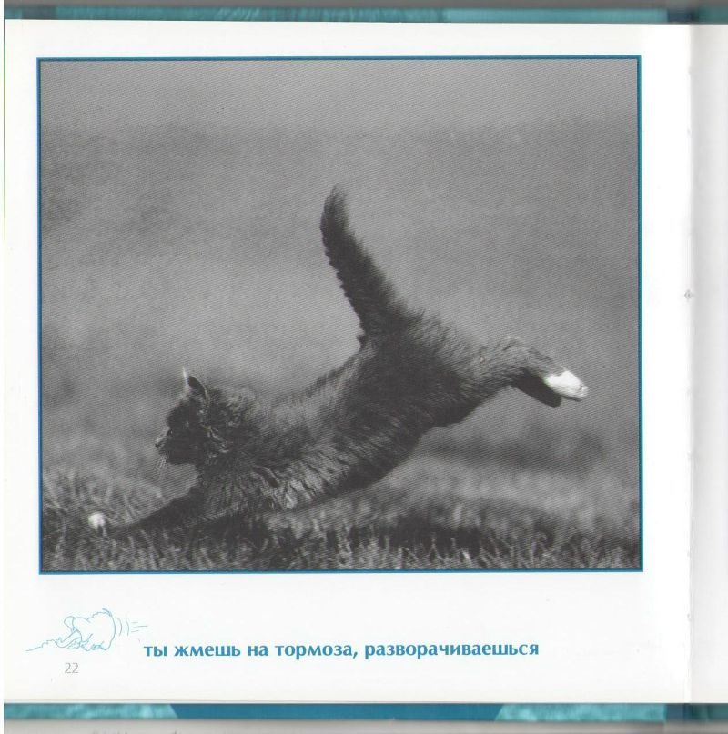 Роман Сербененко фотография #39