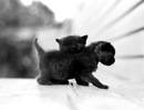 Фотография Искры Марины