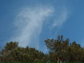 Антон Табаков фотография #21 (источник - https://vk.com/id5007755)