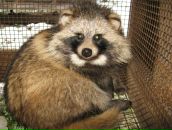 Фотография Олеси Фофяки