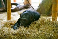 Фотография Тюленева Антона