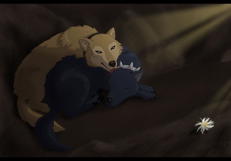 Хиге Wolf фотография #12
