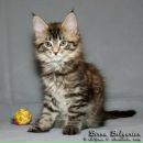 Фотография Кругловой Вероники