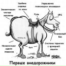 Діма Луценко фотография #16 (источник - https://vk.com/id113969976)