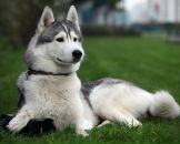 Женя Врадій фотография #4 (источник - https://vk.com/id19438714)