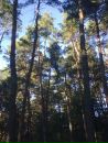 Володя Іваха фотография #15 (источник - https://vk.com/id106059373)