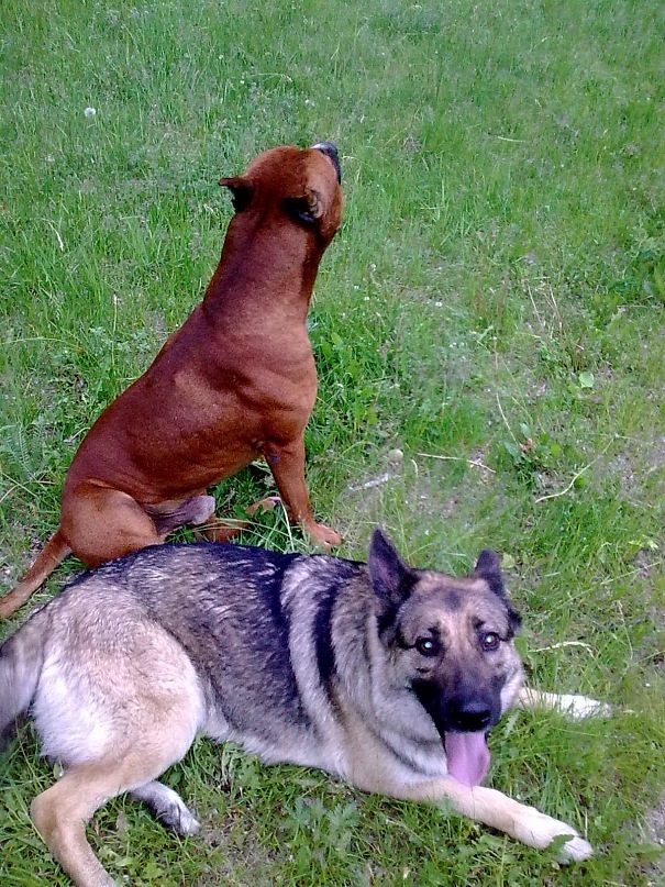 Михаил Сидоров фотография #24