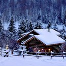 Вікторія Булавінець фотография #39 (источник - https://vk.com/id131825688)