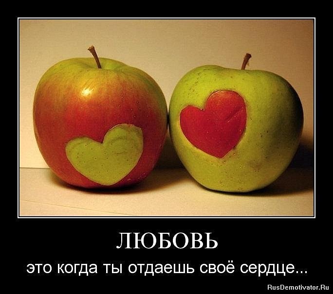Илья Шпак фотография #34