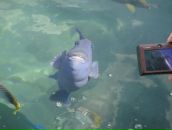 Фотография Волковой Марины