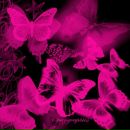 Natasha =) фотография #35 (источник - https://vk.com/id100512077)