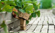 Фотография  