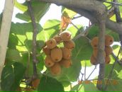 Андрій Кондур фотография #25 (источник - https://vk.com/id19103077)